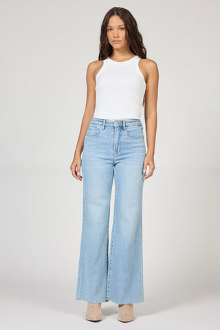 Fiona Denim - Railroad Stripes