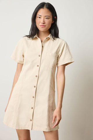 Twill Paneled Shirt Dress