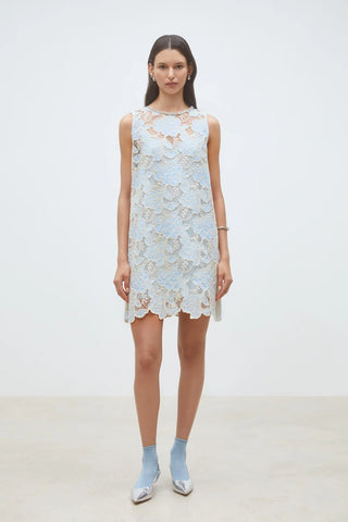 Cerise Dress