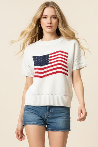 American Flag Knit Top
