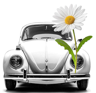 Love Bug Mushie Tee