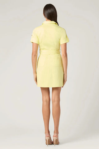 Corie Dress